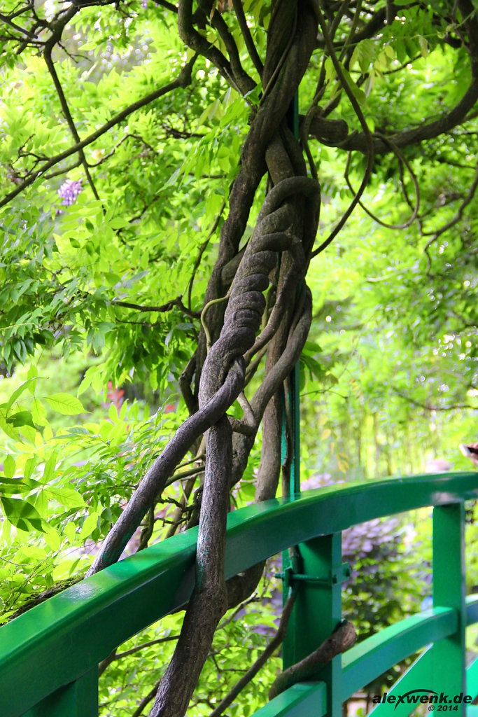 Japanische Brücke im Garten von Giverny